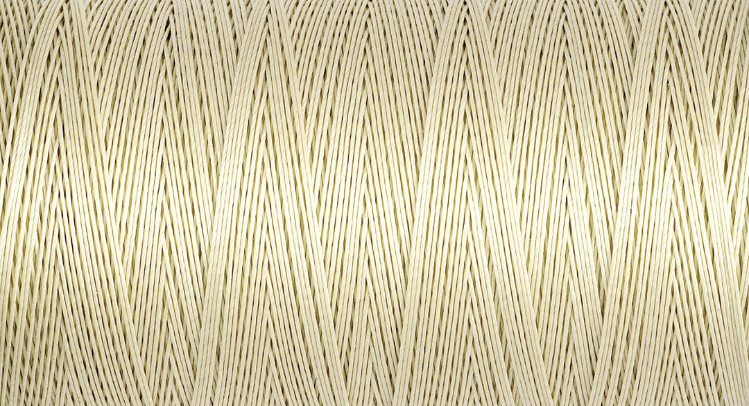 Quilting Thread: 200m 2T200Q\0829
