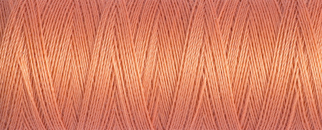 Sew-All Thread: 100m 2T100\587