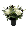 25cm Cream Open Rose Eucalptus Foliage Flower pot
