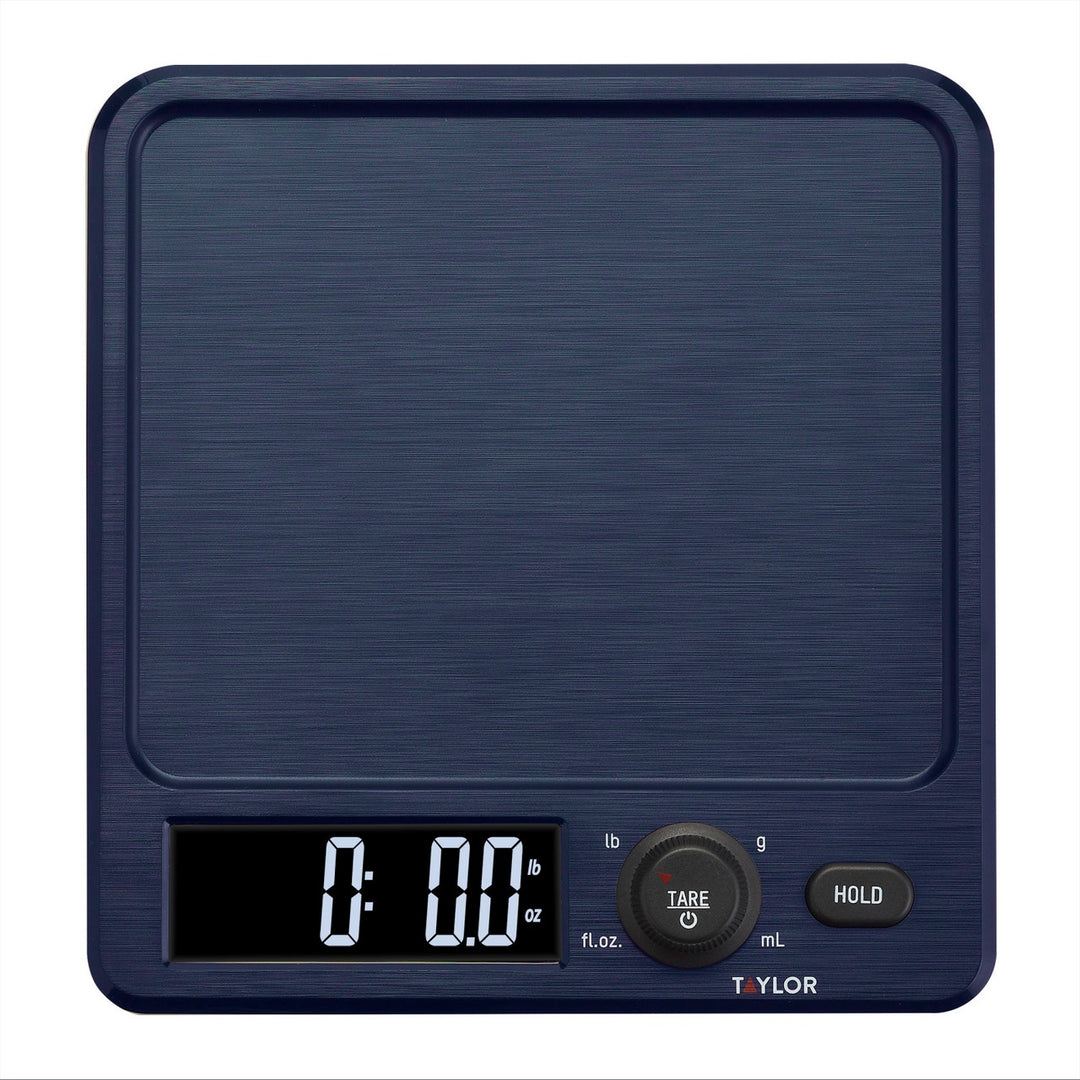 Taylor Mechanical Portion Food Scale, 2.2kg, White