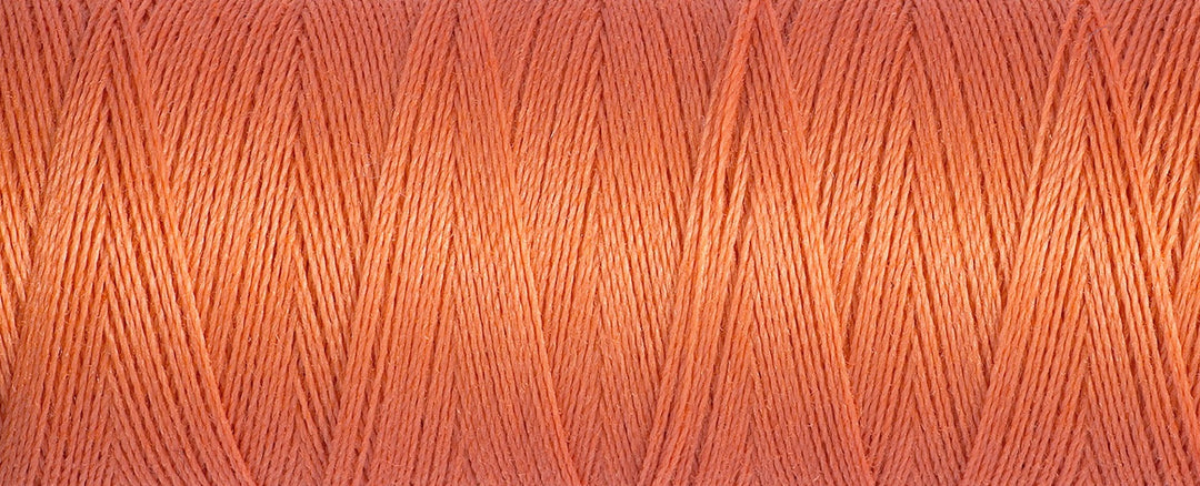 Sew-All Thread: 100m 2T100\895