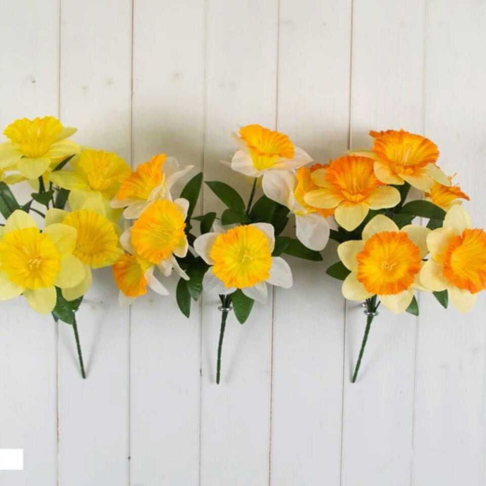Daffodil  Flower Bush Assorted Colours