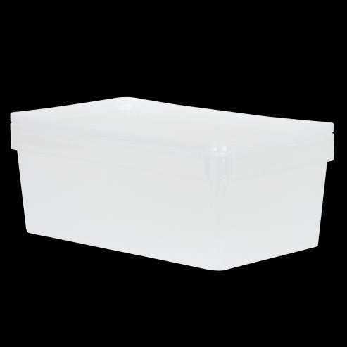 Studio Stack 3.01 Box & Lid 36 x 22 x 14cm (Shoe Box) Clear
