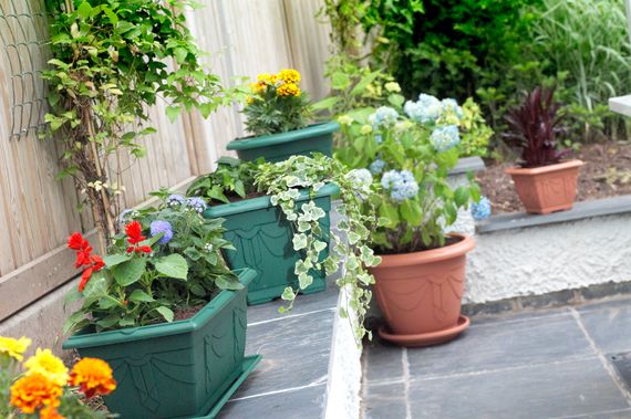 Planters