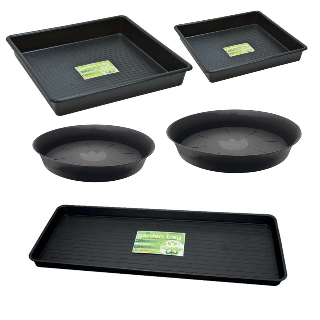 Saucers & Trays