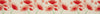 Ribbon: Painted Poppy: 25mm: Sold by the Metre