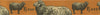 Ribbon: Sheep: 25mm: Apricot Sold by the Metre