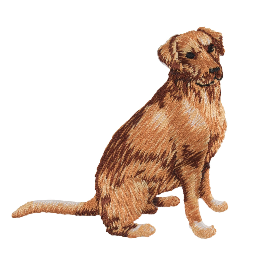 Motif C: Golden Retriever