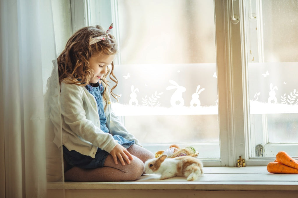 d-c-fix® Window Static Cling Film - Spring Border Rabbits 20cm x 1.5m F321-4009