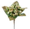 Premier 10cm Light Green Delarobia Pick