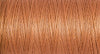 Quilting Thread: 200m 2T200Q\2045