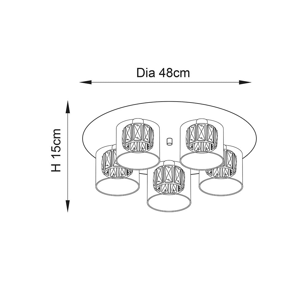 Image 5