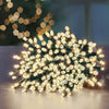 Premier 360 Multi-Action LED SupaBrights with Timer Warm White