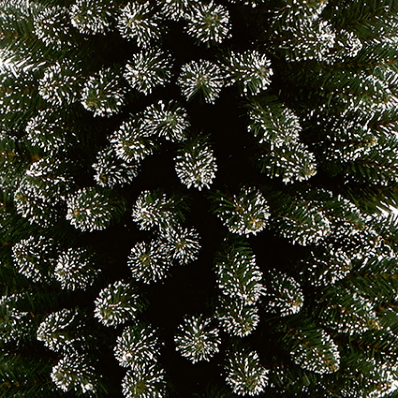 Premier Pencil Pine Snow Tipped 2m Artificial Xmas Tree K200