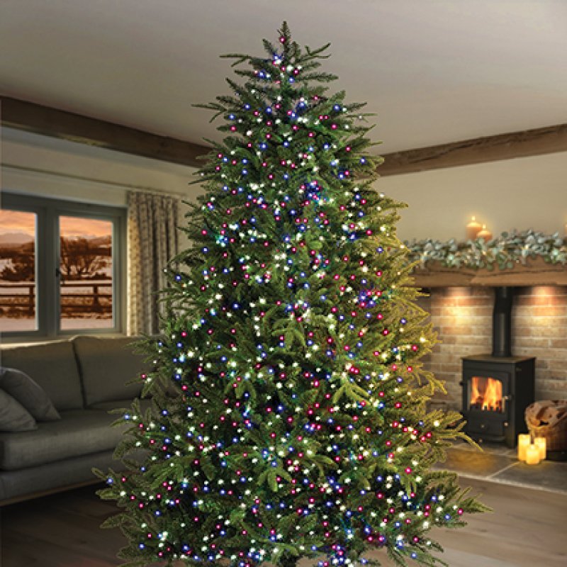 Premier Multi-Action Treebright LED Lights with Timer 500s Blue And Purple