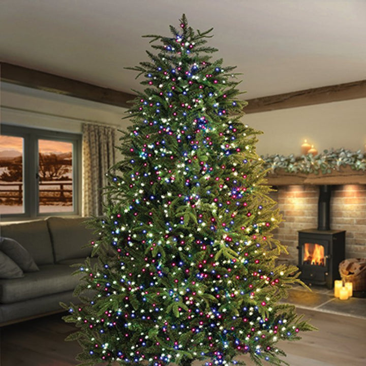 Premier Multi-Action Treebright LED Lights with Timer 500s Blue And Purple