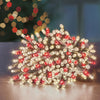 Premier 200 Multi-Action LED SupaBrights Clear Cable with Timer Red/Warm White