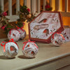 Three Kings Vintage Robin Baubles - Box of 7