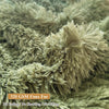 Shaggy Plush Fluffy Faux Fur Bean Bag Chair Sage Green