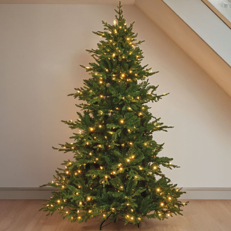 Three Kings InLit Premium King Conifer Christmas Tree 8ft 240cm PU240