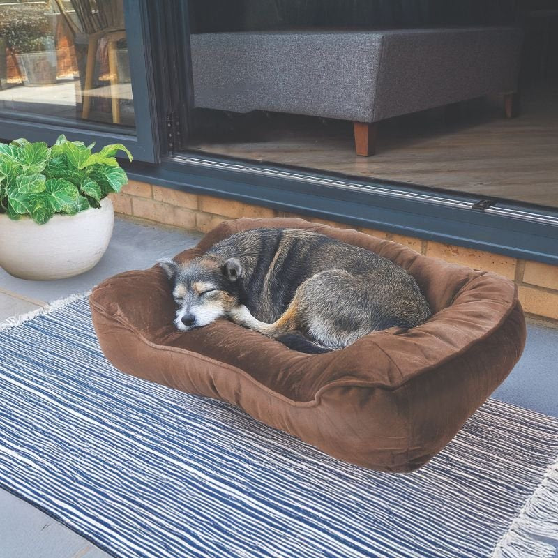 Komfort Pet Cushion Small