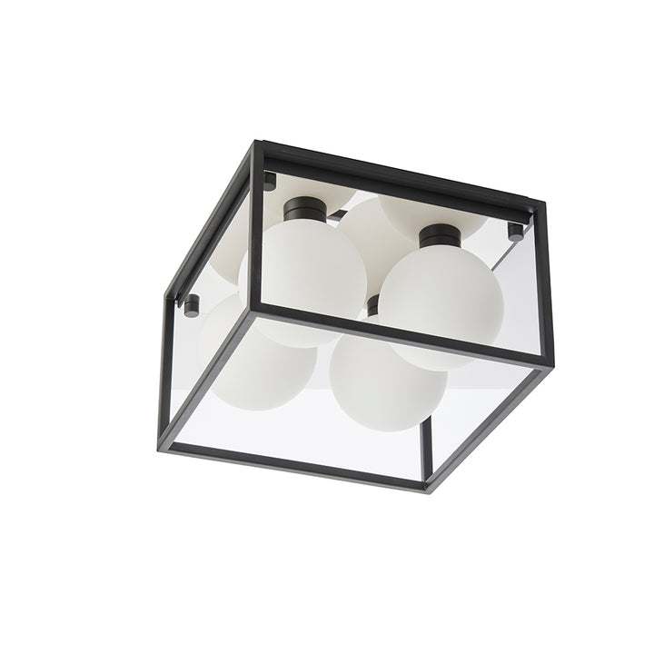 Image 7