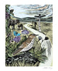 Angela Harding Cards - The Common