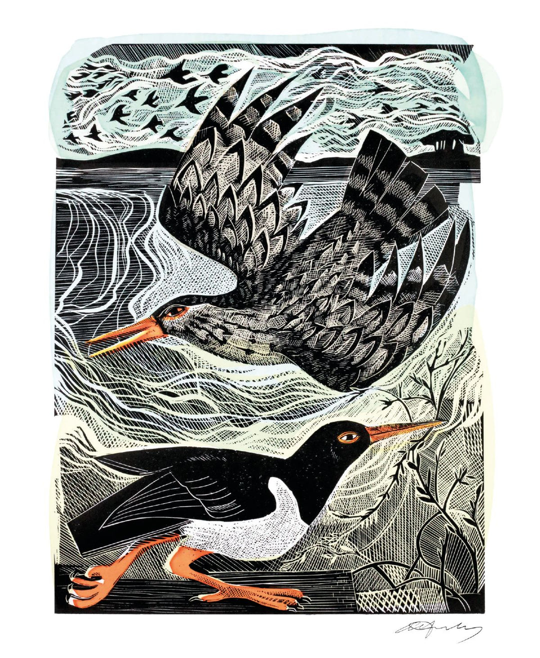 Angela Harding Cards - Redshank and Oystercatcher