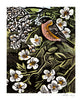 Angela Harding Cards - Blossomise