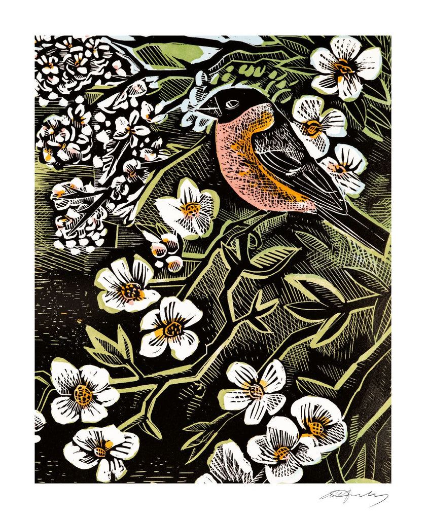 Angela Harding Cards - Blossomise