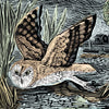 Angela Harding Cards - Marsh Owl
