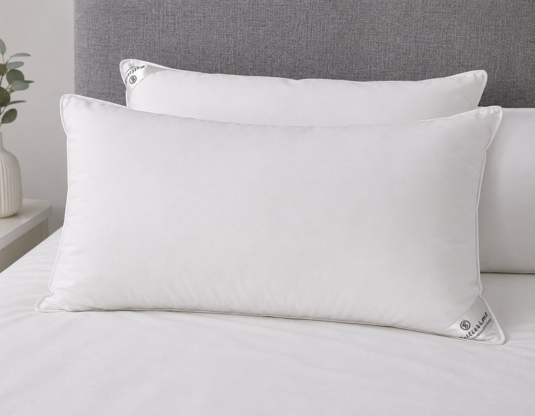 Silk Microfibre Pillow Pair