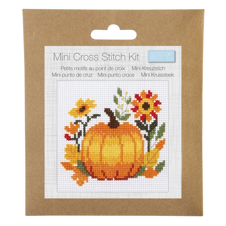 Counted Cross Stitch Kit: Mini: Pumpkin
