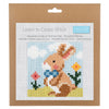 Counted Cross Stitch Kit: Bunny