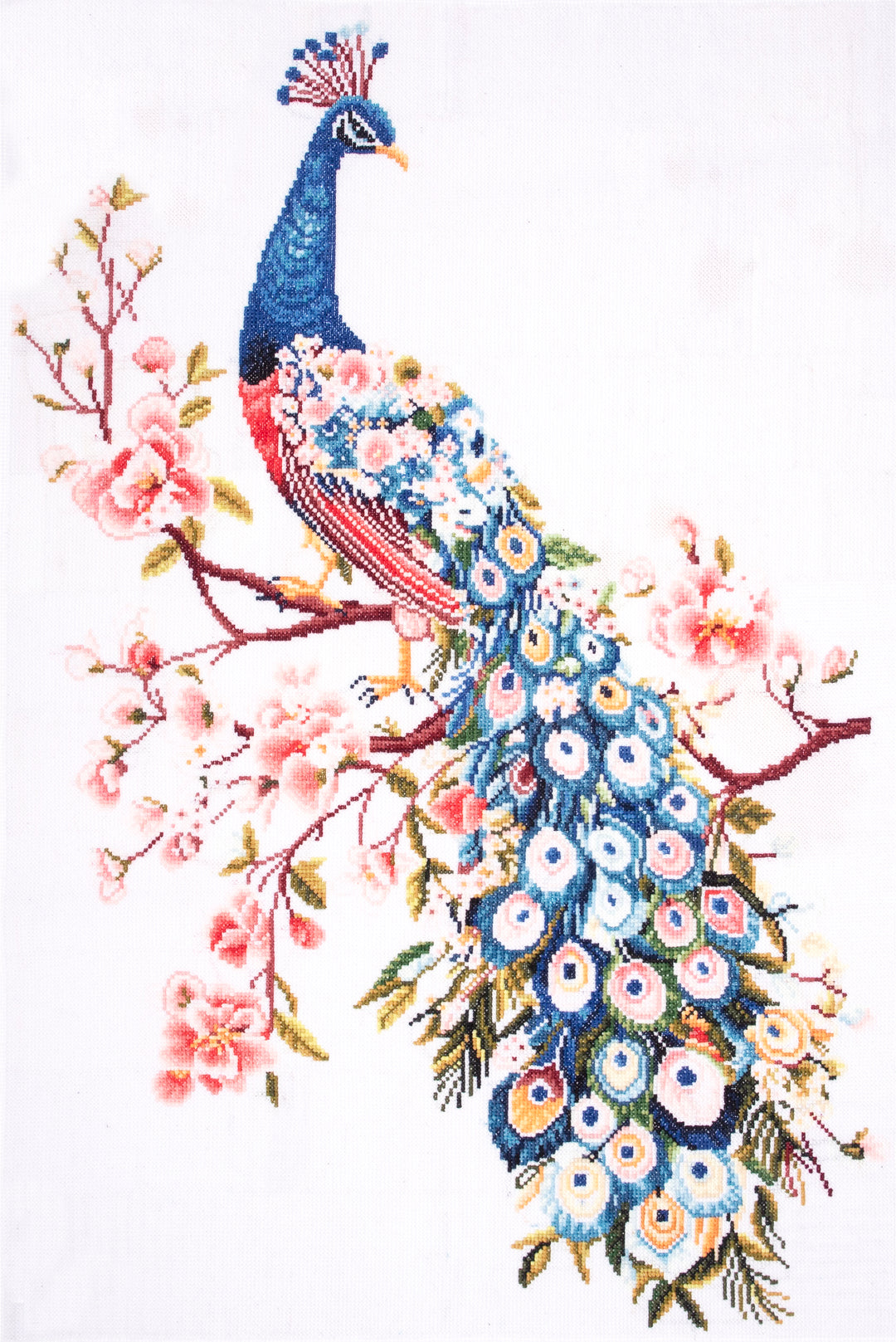 Counted Cross Stitch Kit: Extra Large: Peacock