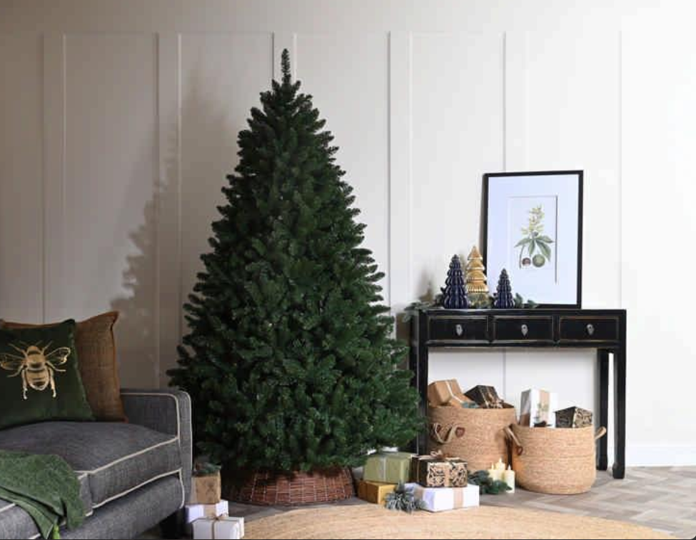 210cm Cedar Ridge Fir Tree D210