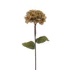 60cm Hydrangea Stem Champagne Gold