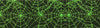 Ribbon: Spiders Web: 25mm: Green - Sold By The Metre