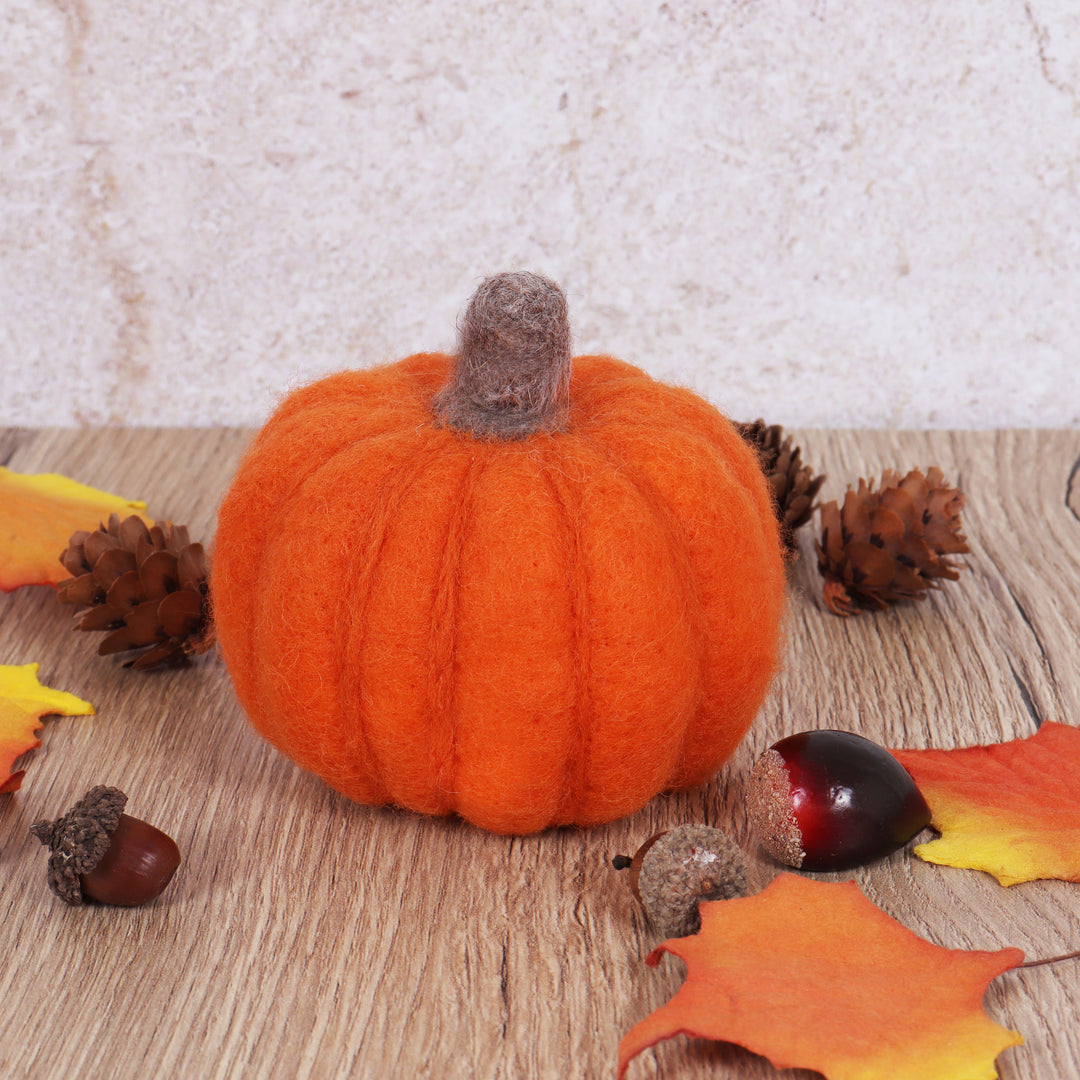 Needle Felting Kit: Pumpkin