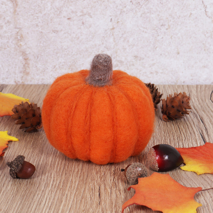 Needle Felting Kit: Pumpkin