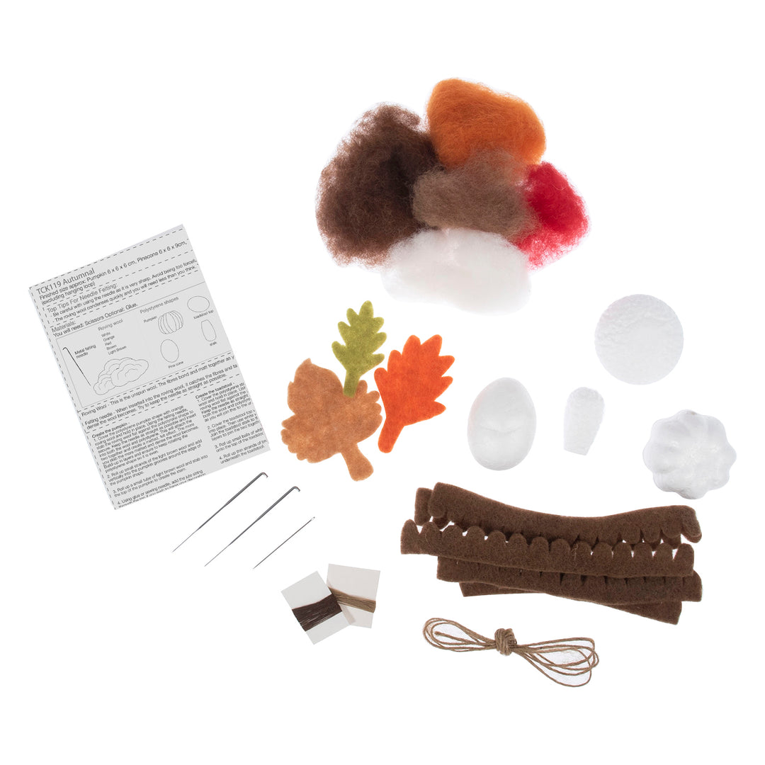 Needle Felting Kit: Autumnal