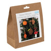 Needle Felting Kit: Autumnal