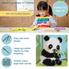 Half Stitch/Tapestry Kit: Children's: Panda