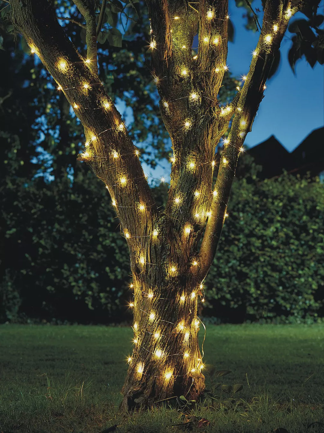 400 LED Firefly String Lights