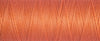 Sew-All Thread: 100m 2T100\895