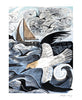 Angela Harding Cards - Gannets at Rathlin Island