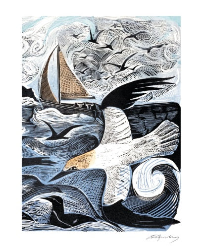 Angela Harding Cards - Gannets at Rathlin Island