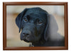 Creative Tops Labrador Laptray