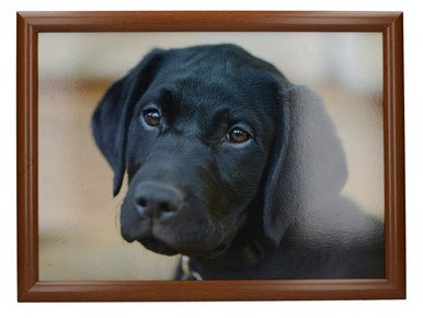 Creative Tops Labrador Laptray