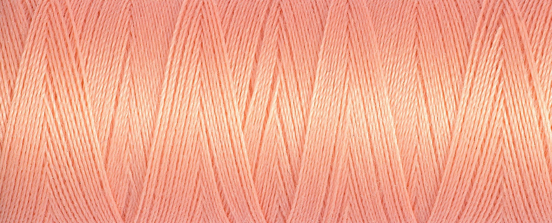 Sew-All Thread: 100m 2T100\586